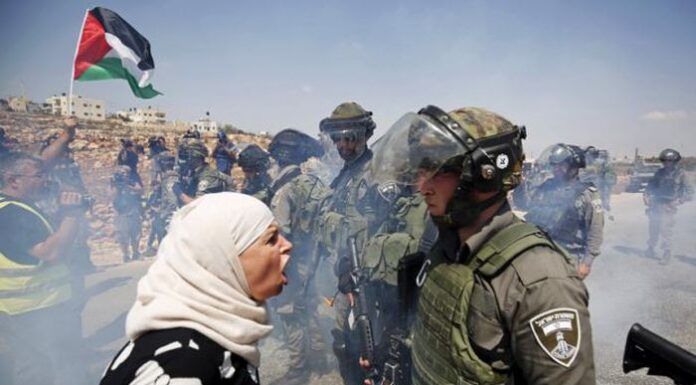 Serangan Israel Terhadap Palestina, Mantan Pilot Angkatan Udara Israel: Itu Tindakan Terorisme Potret Ibu berhadapan dengan militer Israel