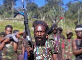 Ilustrasi kelompok bersenjata Papua