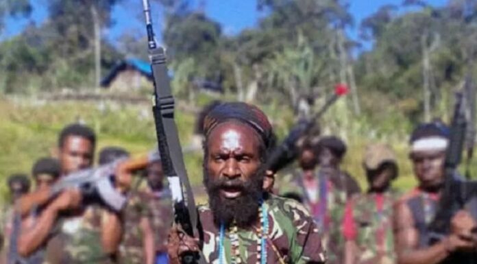 Konflik Papua, Kelompok Bersenjata Tantang Pasukan Gabungan TNI-Polri Berperang Ilustrasi kelompok bersenjata Papua