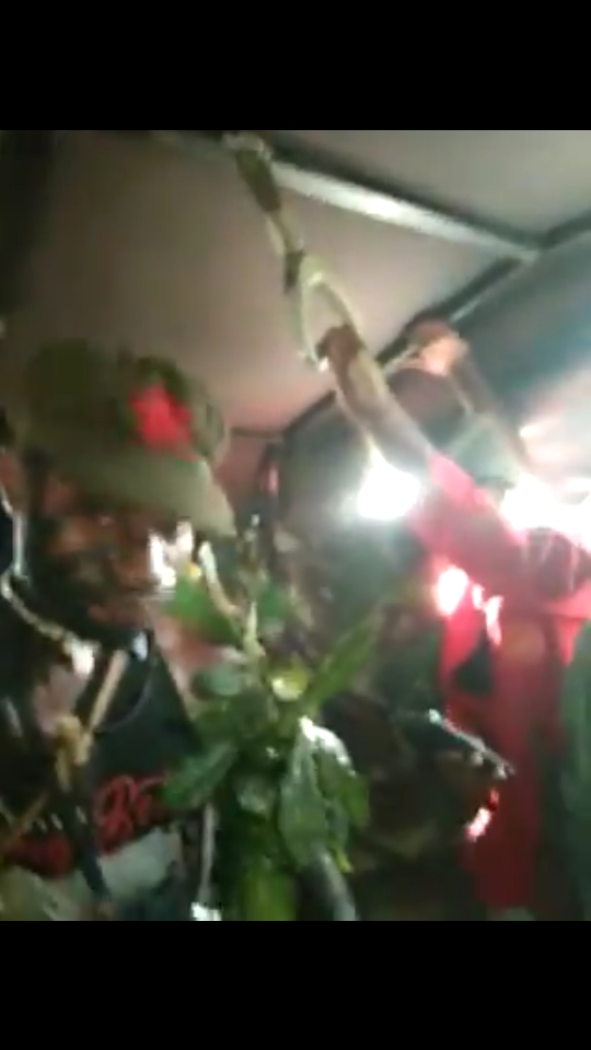 Kelompok Pro Kemerdekaan Papua Unjuk Rasa di Berbagai Daerah, Ratusan Orang Ditangkap dan Alami Kekerasan