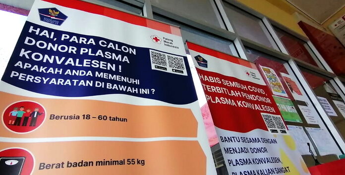 Heboh Sayembara Donor Plasma Konvalesen Hadiah Uang Tunai di Surabaya, Berminat?