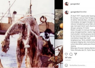 Bangkai Binatang Aneh Ini Masih Misterius, Diunggah Youtuber Guru Gembul di Instagram