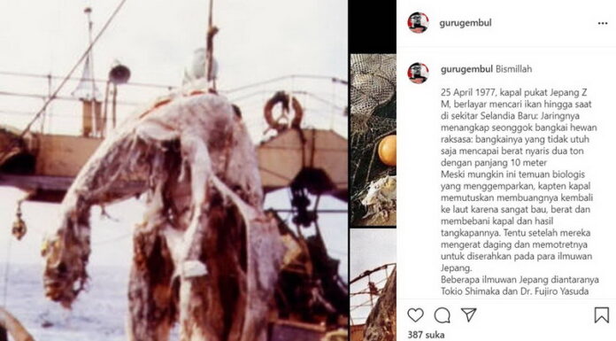 Bangkai Binatang Aneh Ini Masih Misterius, Diunggah Youtuber Guru Gembul di Instagram Bangkai Binatang Aneh Ini Masih Misterius, Diunggah Youtuber Guru Gembul di Instagram