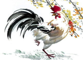 Shio Ayam si Cerdik yang Pintar Cari Uang, Shio Kamukah Itu?