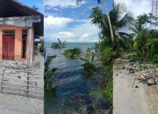 Dampak Gempa M 6,1 Maluku, BNPB Monitor Air Laut Sempat Terlihat Surut