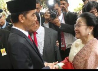 Jokowi dan Megawati