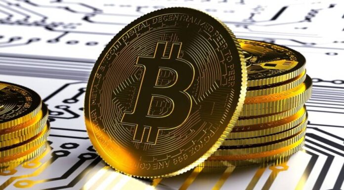 Sedang Trend, MUI Siapkan Fatwa Halal atau Haram Transaksi Aset Kripto Ilustrasi koin kripto