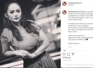 Ini Permintaan Krisdayanti kepada Pemerintah Terkait Pajak Sembako