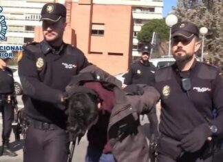 Pria Spanyol yang Bunuh dan Makan Mayat Ibunya Sendiri Dihukum 15 Tahun Penjara