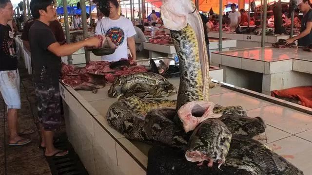 Ekstremnya Pasar Beriman Tomohon, Jualannya dari Tikus hingga Ular