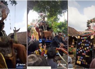 Viral Pengantin Diarak Naik Traktor, Dijuluki Anak Tani Sultan