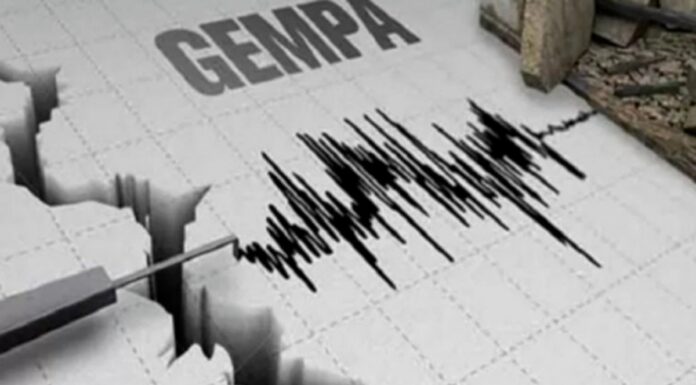 Kesaksian Warga Soal Gempa Magnitudo 6,5 Garut: Lemari Berguncang Hingga Ada yang Mengevakuasi Diri ilustrasi gempa bumi