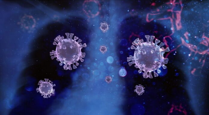 Corona Varian Kappa Sudah Masuk di Jakarta, Ini Respons Wagub Corona varian Kappa sudah masuk di Jakarta, ini respons wagub