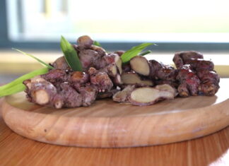 Ini Manfaat Jahe Merah yang Berfungsi Kuatkan Daya Tahan Tubuh saat Pandemi