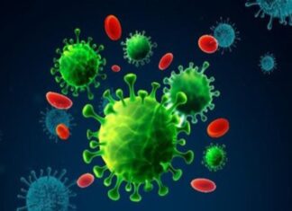 Ilustrasi virus corona