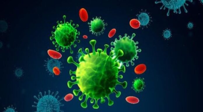 Ilustrasi virus corona