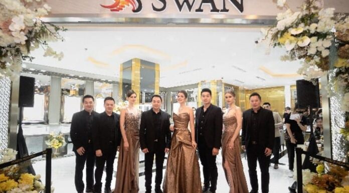 swan jewellery