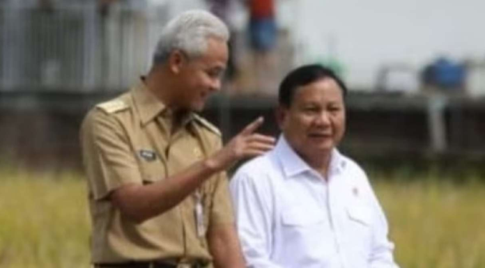 denny siregar