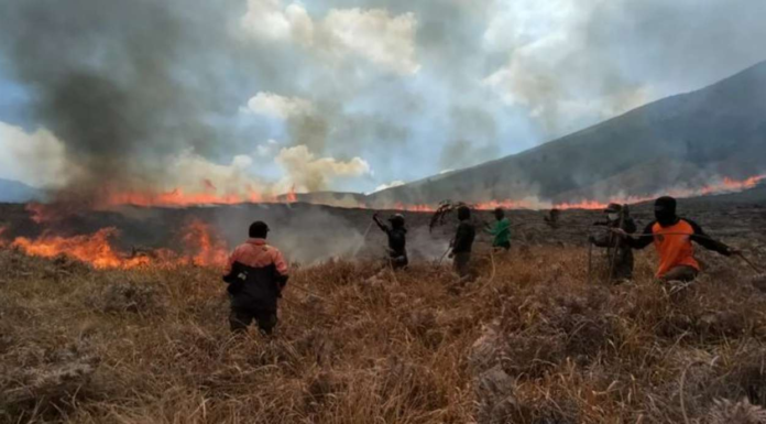 Soal Kebakaran, Pengacara Tersangka dan Pengantin Prewed Salahkan Pengelola Bromo pengantin prewed