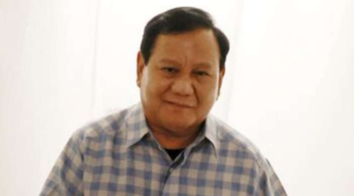 wakil menteri prabowo