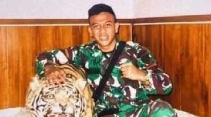 tni pangkat prada