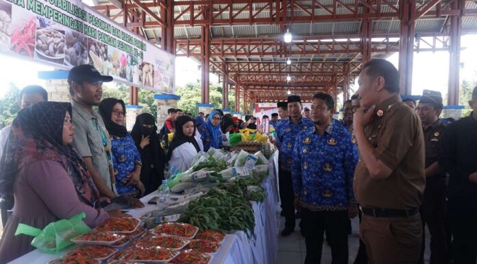Kelompok Tani Organik Binaan Vale Ikut Ramaikan Gerakan Pangan Murah Serentak di Morowali kelompok tani organik