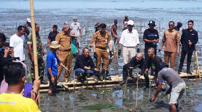 warga pesisir warga pesisir