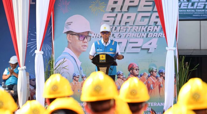 Pln