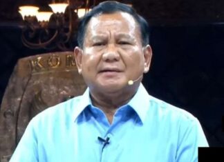 WALHI Tolak Wacana Tanggul Laut Raksasa yang Didorong Prabowo Subianto: Rusak Ekologis Daratan dan Perairan