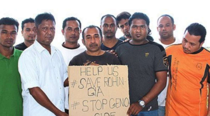 pengungsi rohingya