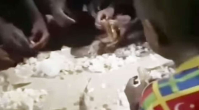 anak anak papua