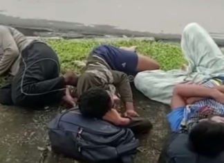 pengungsi rohingya