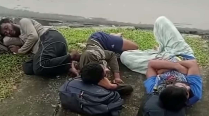 pengungsi rohingya