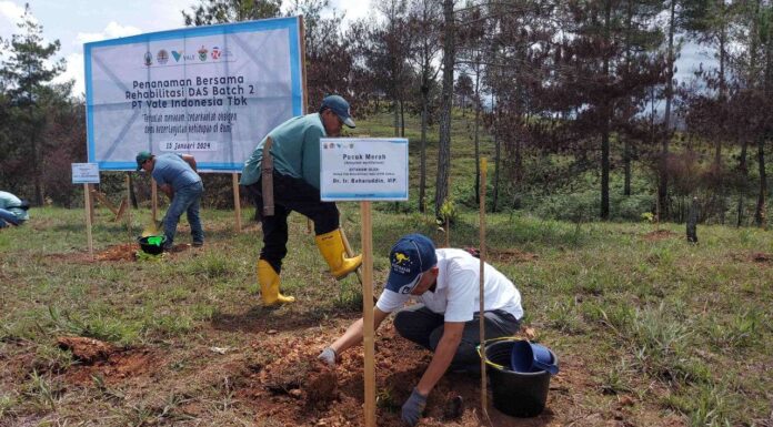 PT Vale Rehabilitasi DAS di Tana Toraja, Tanam 424 Ribu Pohon PT Vale