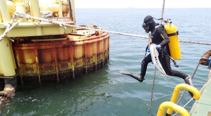 Anak usaha pertamina