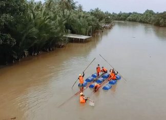 PLN
