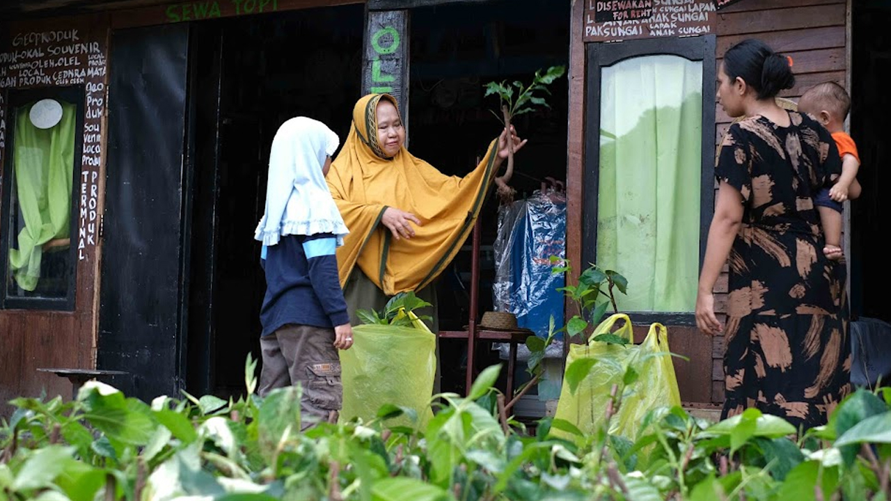 56 Tahun PT Vale Indonesia, Sinergi Merawat Lingkungan yang Terus Berlanjut