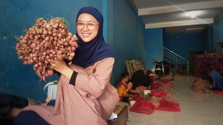 Harga Bawang Merah Anjlok, Petani di Enrekang Menjerit kota makassar