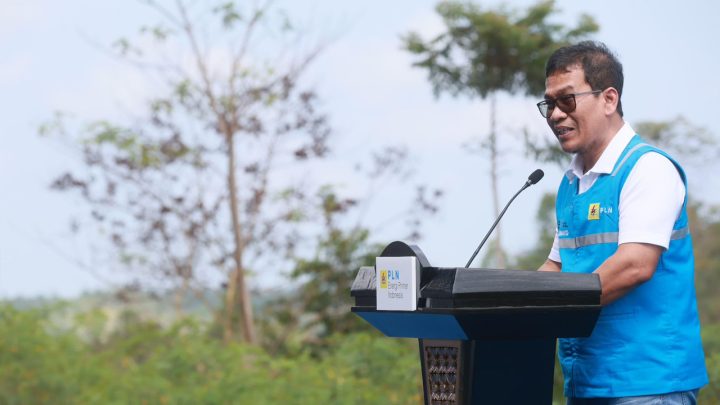 PLN Terus Kembangkan Bahan Co-Firing Biomassa, Bareng Kementan Luncurkan Model Pertanian Terpadu PLN