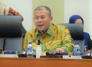 wakil ketua banggar dpr ri