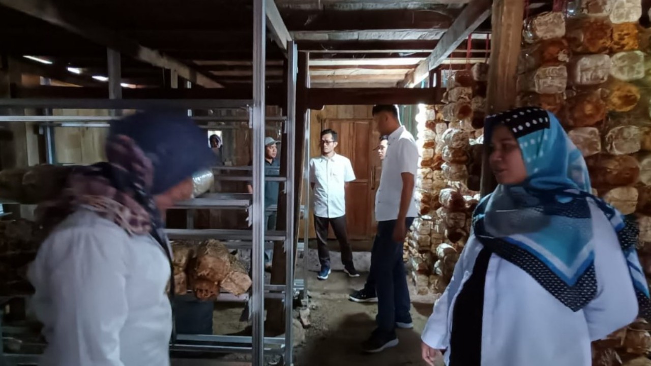 Tim AK-Manufaktur Bantaeng Laksanakan Pengabdian Masyarakat di IKM Rumah Jamur