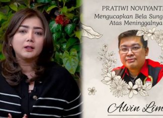 teh novi alvin lim