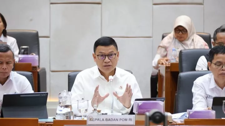 komisi ix dpr ri