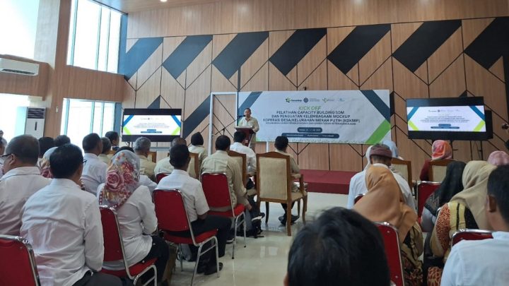 koperasi desa merah putih