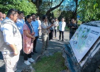 wamenpar ni luh puspa