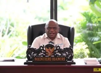 pahlawan nasional 2025