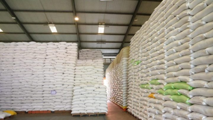 cadangan beras Indonesia