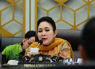 ketahanan pangan nasional
