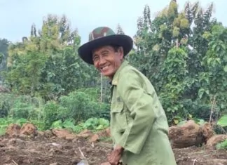 hilirisasi perkebunan