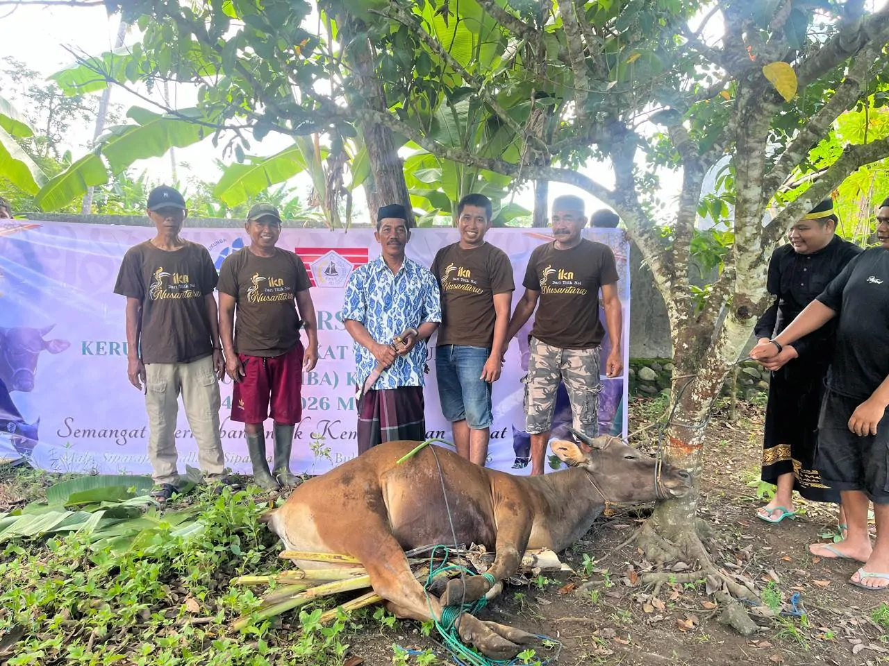 Qurban Bersama KM Bulukumba ke-VI, Salurkan 13 Ekor Sapi Kurban ke Sejumlah Desa